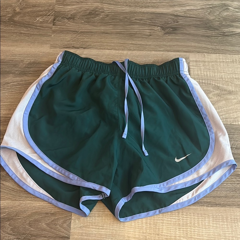 Nike Green and Blue Athletic Shorts
